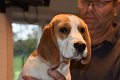 Afb_20171112_betsie (9)